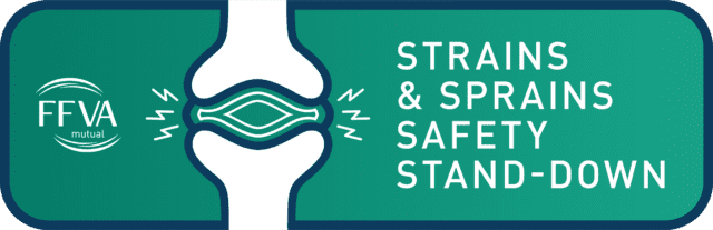 Strains & Sprains Stand-Down