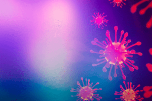 Coronavirus Update