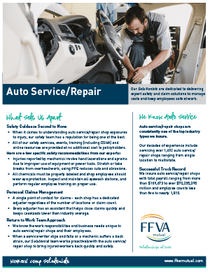 Auto Service and Repair Shops