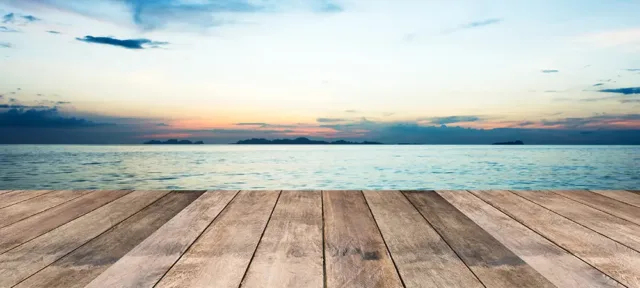 top-posts-2020-banner (1)