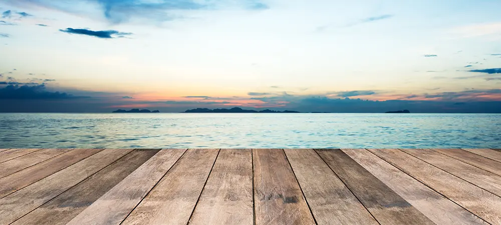 top-posts-2020-banner (1)